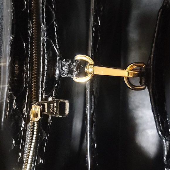 LOUIS VUITTON RARE Black Python Capucines Handbag BB - Picture 9 of 12